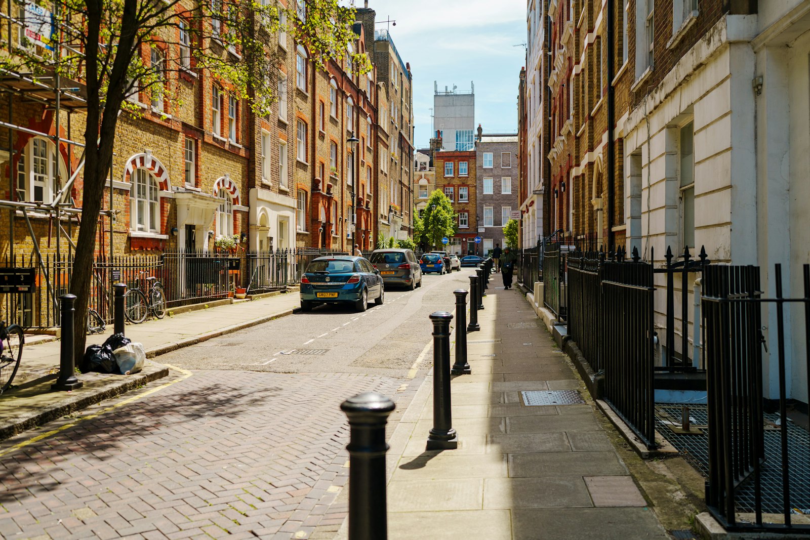 A calm residential street in London in early light
